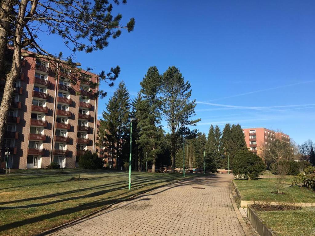 Ferienwohnung Schneeweisschen An Der Therme 阿尔特瑙 外观 照片